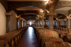 unnamed-300x200 Centro de Portugal integra missão que vai conhecer as melhores práticas do enoturismo a nível mundial