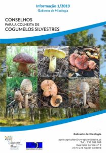 73395382_2717343644993223_7756675412901494784_n-209x300 Como colher os bons cogumelos silvestres  no concelho de Aguiar da Beira