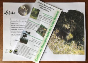 LOBITO-2-300x215 Lobito apadrinhado pelo Clube Escape Livre