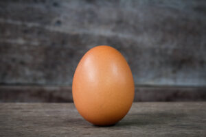 IMAGEM-ovo-300x200 Artigo:Uma equação universal para a forma de um ovo