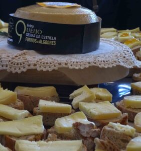 capa4-281x300 Conversa com Manuel Fonseca (Presidente do Município de Fornos de Algodres)