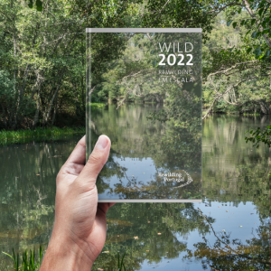 331543322_881839896263770_4716286675904539598_n-300x300 Rewilding Portugal celebrou Dia do Rewilding