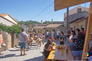 450080920_887086353449624_927710012679102666_n-300x200 Viagem às Raízes em Arrifana (Guarda)