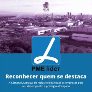 Press_094_Cartaz-300x300 Nelas - Dezanove empresas do Concelho distinguidas com Estatuto de PME Líder 2024