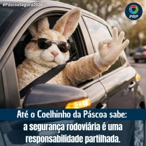 656732788_1406412638195544_8229227597857100337_n-300x300 Celorico da Beira juntou-se à Prevenção Rodoviária Portuguesa sob o mote “Até o Coelhinho da Páscoa sabe…”