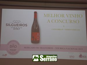 IMG_9352-300x225 Morgado de Silgueiros eleito o melhor vinho do Dão na Gala "Os Melhores Vinhos do Dão"